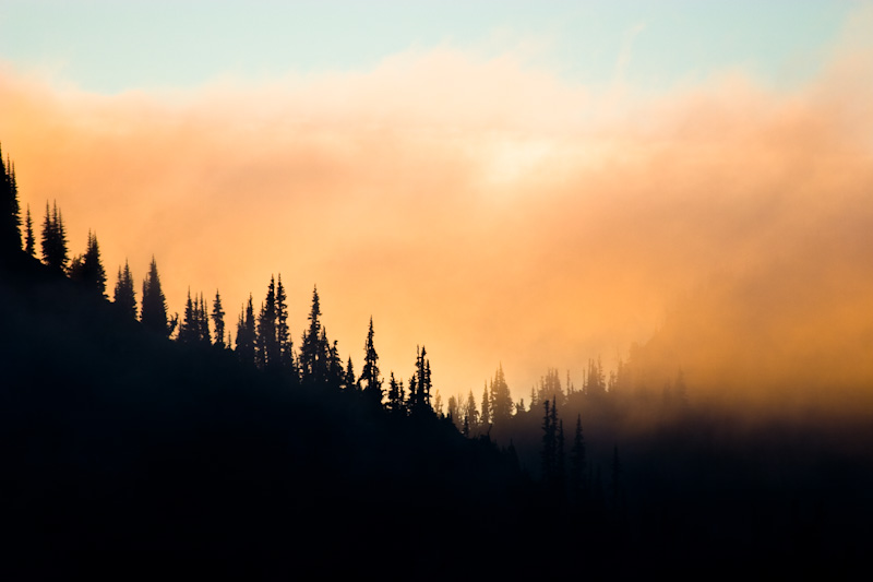 Forested Ridge At Sunset